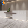 1632TRS-610 All-Weather Exterior Grade Sintered Stone Panels, UV Stabilized Anti-Fade Frost & Wear Resistant Stone Slabs for Patio Paving, Outdoor Wall Cladding and Garden Table Tops