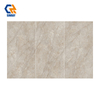 1632TRS-632 Wholesale Indoor Outdoor Dual-Use Sintered Stone Slabs, Gloss & Matte Surface Choices Durable Stone Panels for Large-Scale Real Estate Whole-House Refurbishment
